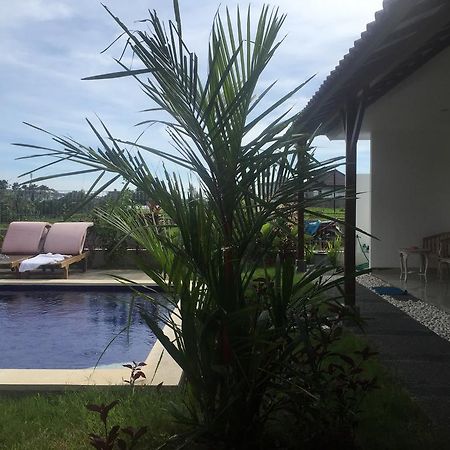 Pererenan Nengah Guest House Canggu Екстериор снимка