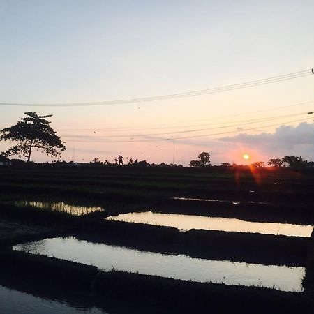 Pererenan Nengah Guest House Canggu Екстериор снимка
