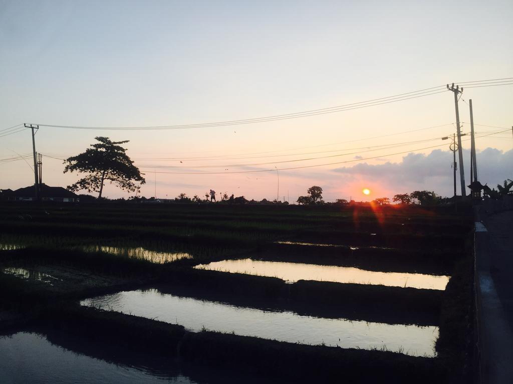 Pererenan Nengah Guest House Canggu Екстериор снимка